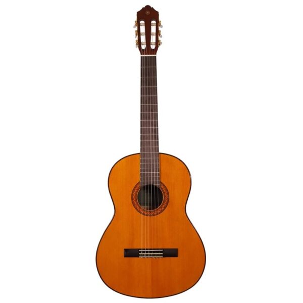 imgi_25_2d48c1f4a055feb242ac77012bf9bec6f84c411c_1662900661 گیتار آکوستیک شکتر مدل Deluxe Acoustic - Image 1