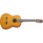 گیتار آکوستیک شکتر مدل Deluxe Acoustic - Image 2