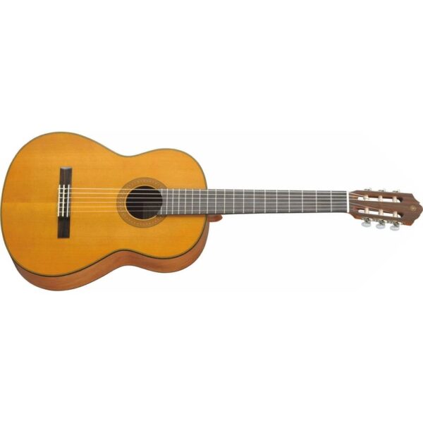 گیتار آکوستیک شکتر مدل Deluxe Acoustic - Image 2