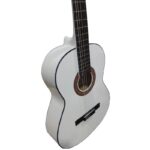 گیتار آکوستیک شکتر مدل Deluxe Acoustic - Image 5