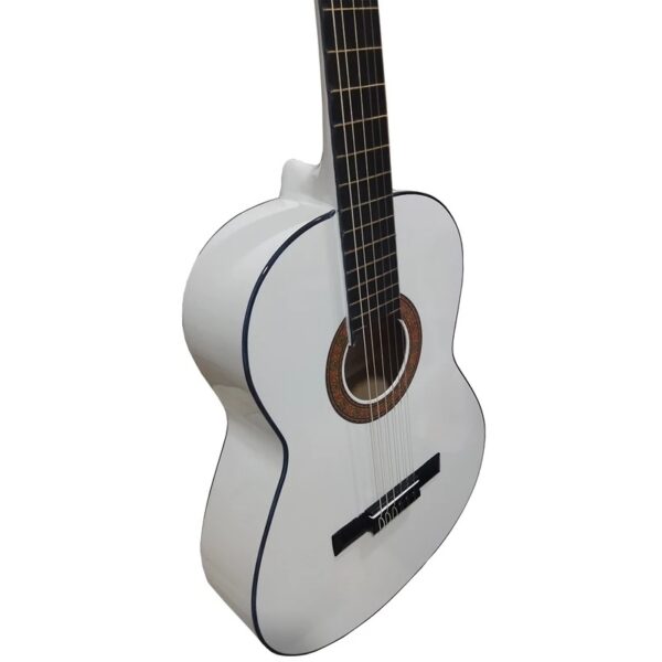 گیتار آکوستیک شکتر مدل Deluxe Acoustic - Image 5
