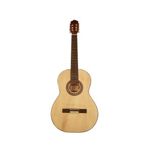 گیتار آریانا