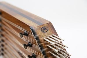 سنتور بسطامی گردو - Image 2