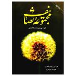 پایه نت آرینا - قرمز - Image 2