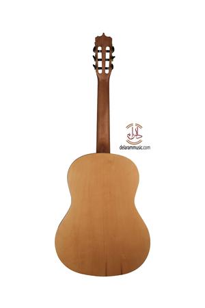 گیتار پارسی مدل P40F - Image 2