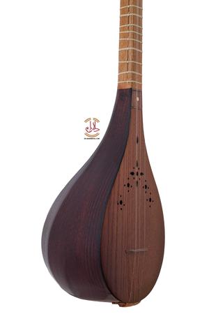 سه تار نوا یک مهر - Image 4