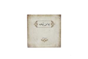 سیم تار باربد