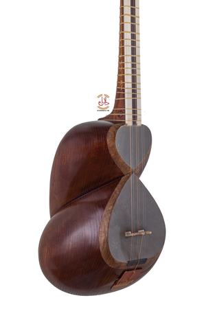 تار رضا کریمی - Image 4