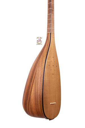 تنبور نیک اختر - Image 2