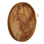 دف پانو کوکی - Image 4