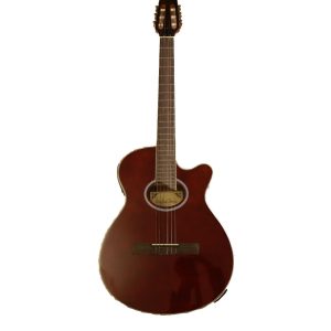 گیتار MasterGrade مدل 209