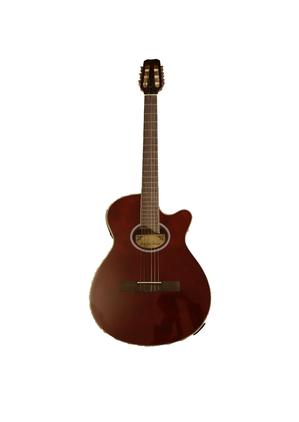 گیتار MasterGrade مدل 209