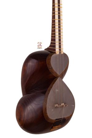 تار مهدی علیاری حرفه ای - Image 4