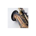 ساکسیفون آلتو شاتو CHATEAU CAS-882TPL - Image 2