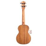 یوکلله فونیکس مدل HC08 - Image 2