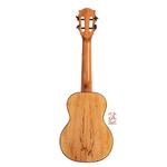 یوکلله فونیکس مدل HC11 - Image 2