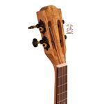 یوکلله فونیکس مدل HC11 - Image 3