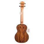 یوکلله فونیکس مدل HC14 - Image 2