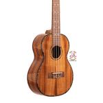 یوکلله فونیکس مدل HC12 پولیش - Image 4