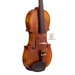 ویولن فونیکس مدل VTK 902 سایز 4/4 - Image 4