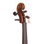 ویولن کاسینی - Image 3