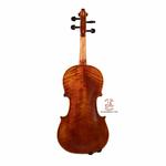 ویولن فونیکس مدل VT202 سایز 4/4 - Image 2