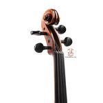 ویولن فونیکس مدل VT202 سایز 4/4 - Image 3