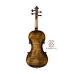 ویولن فونیکس مدل VS301 سایز 4/4 - Image 2