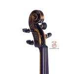 ویولن فونیکس مدل VS301 سایز 4/4 - Image 3