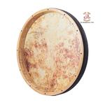 دایره پانو کوکی - Image 4