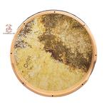 بندیر پانو کوکی - Image 4