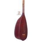 تنبور ملکی - Image 4