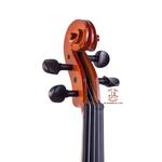 ویولن مولر مدل 300 سایز 3/4 - Image 3