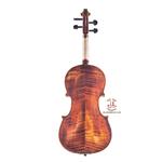 ویولن فونیکس مدل VZ101 سایز 4/4 - Image 2