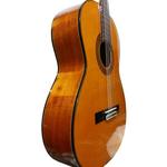 گیتار کلاسیک پالادو مدل CG-80 - Image 2