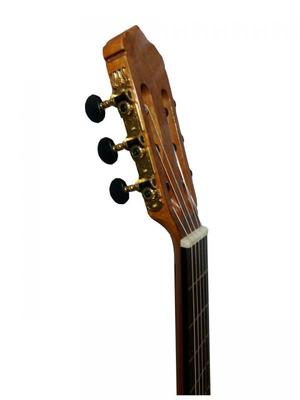 گیتار کلاسیک پالادو مدل CG-80 - Image 3