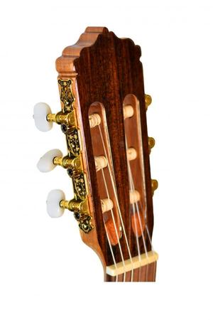 گیتار کلاسیک پالادو مدل CG-90 - Image 3