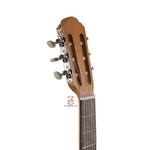 گیتار خانی مدل P600 - Image 3