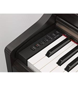 پیانو دیجیتال یاماها مدل YDP-163 - Image 2