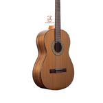 گیتار خانی مدل P500 - Image 4