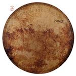 دف پانو کوکی