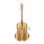 گیتار آگرین - Image 2