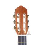 گیتار آگرین - Image 4