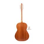 گیتار آگرین مدل 1 - Image 2