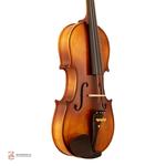 ویولن ریچاردبونل مدل 2352 سایز 2/4 - Image 4