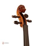 ویولن ریچاردبونل مدل 2352 سایز 3/4 - Image 2