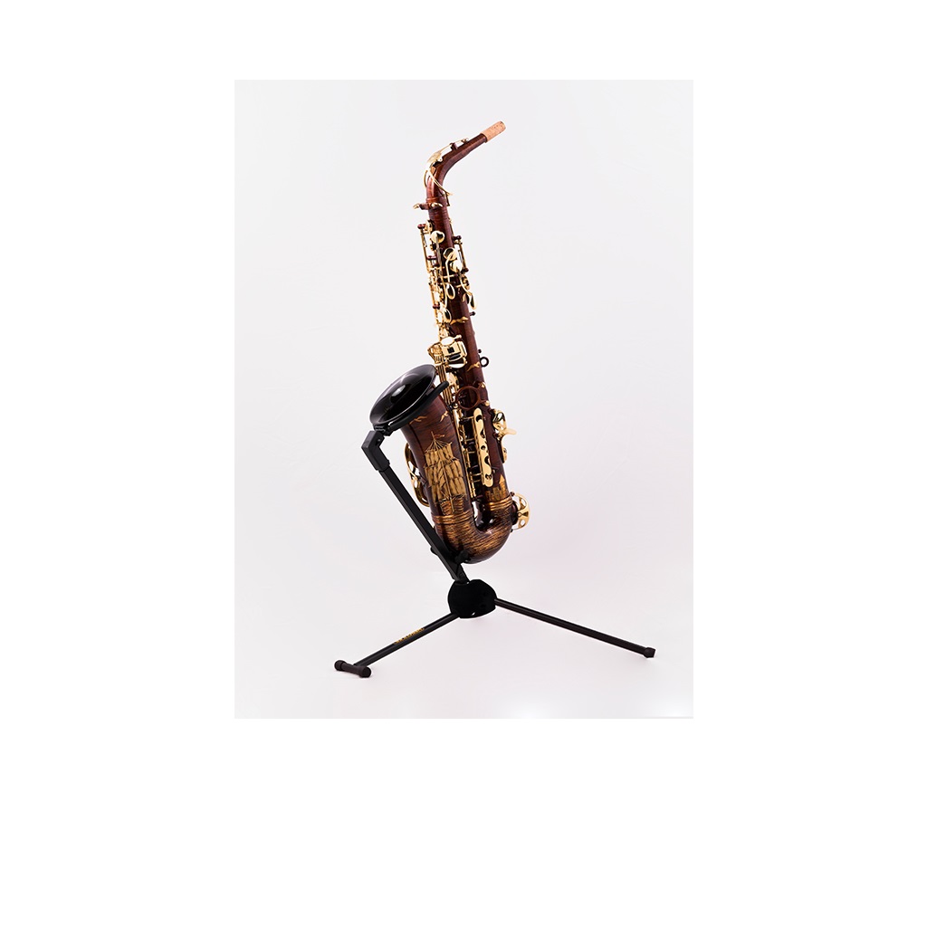 ساکسیفون آلتو شاتو CHATEAU CAS-882SBL