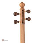 کمانچه رامین بحیرایی مدل سردسته تاج - Image 3