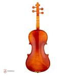 ویولن فونیکس مدل OVP206 B سایز 3/4 - Image 4