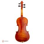 ویولن فونیکس مدل OVP206 E سایز4/4 - Image 3